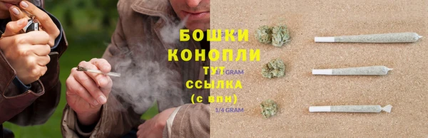 мяу мяу мука Снежинск
