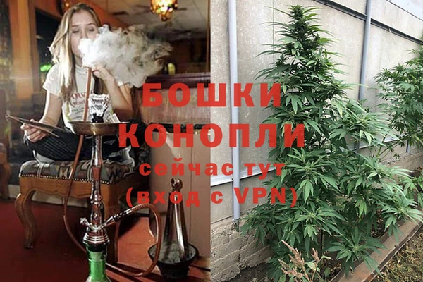 каннабис Снежногорск