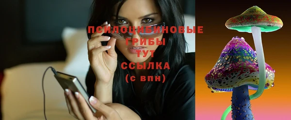 бошки Семилуки