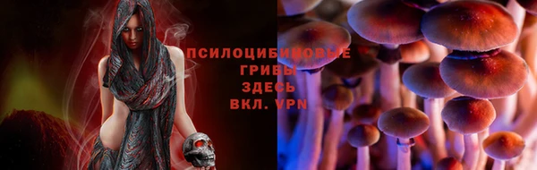 мяу мяу мука Снежинск