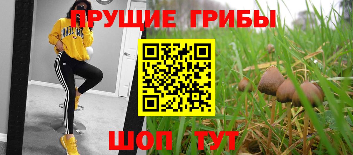 Галлюциногенные грибы MAGIC MUSHROOMS  Вход с VPN  Спасск-Дальний 