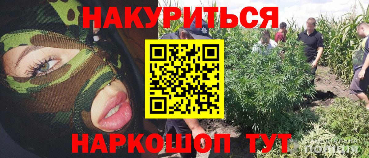 Каннабис конопля Спасск-Дальний